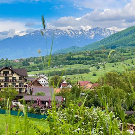 Vila Hora Cu Brazi Зернешті Екстер'єр фото