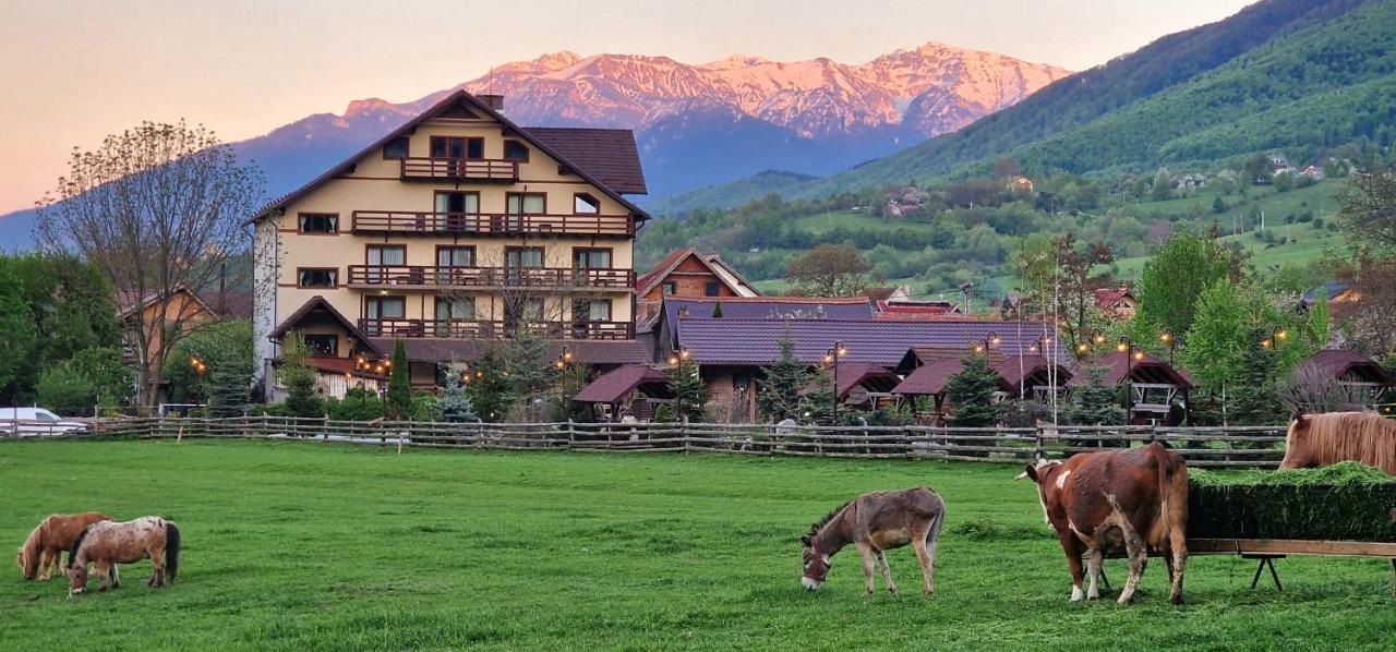 Vila Hora Cu Brazi Зернешті Екстер'єр фото